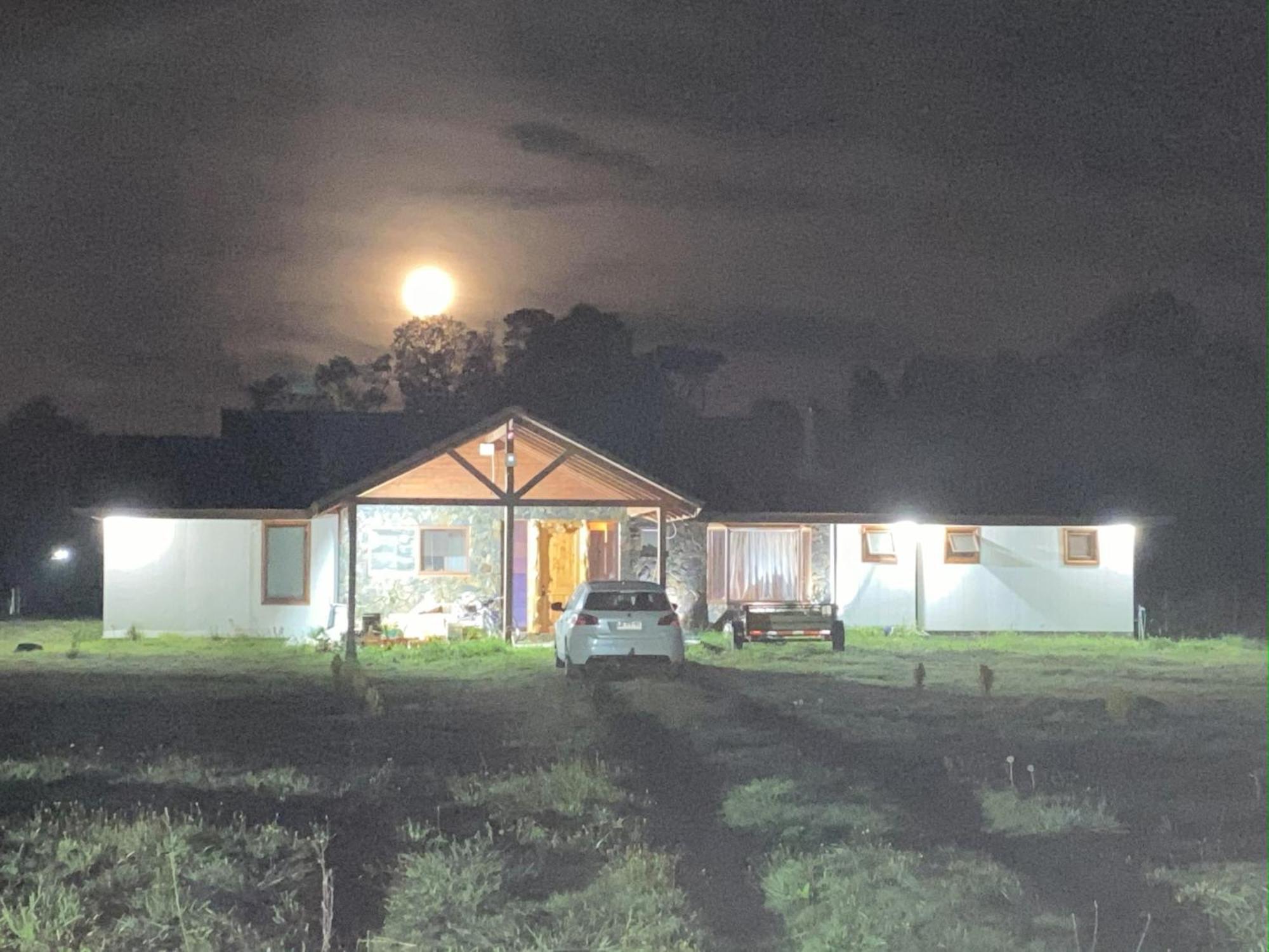 Comoda Parcela Entorno Natural Villarrica Exterior foto